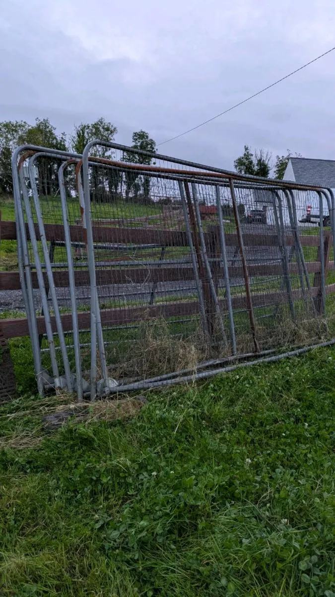 Site fencing