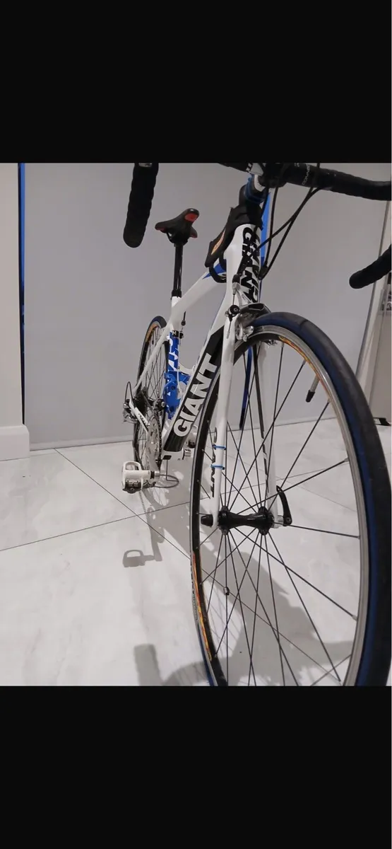 Giant TCR advanced - Image 3