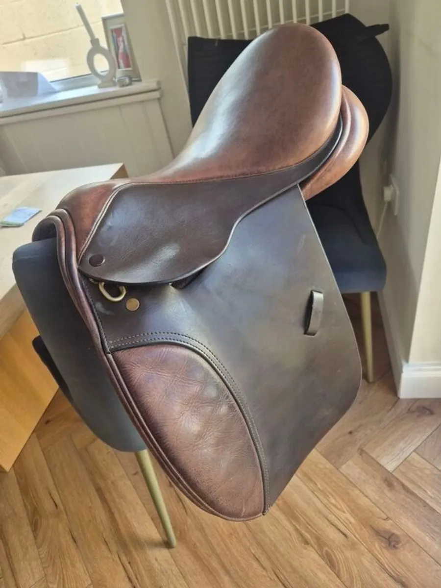 Pony Saddle 16" - Collegiate - Image 1