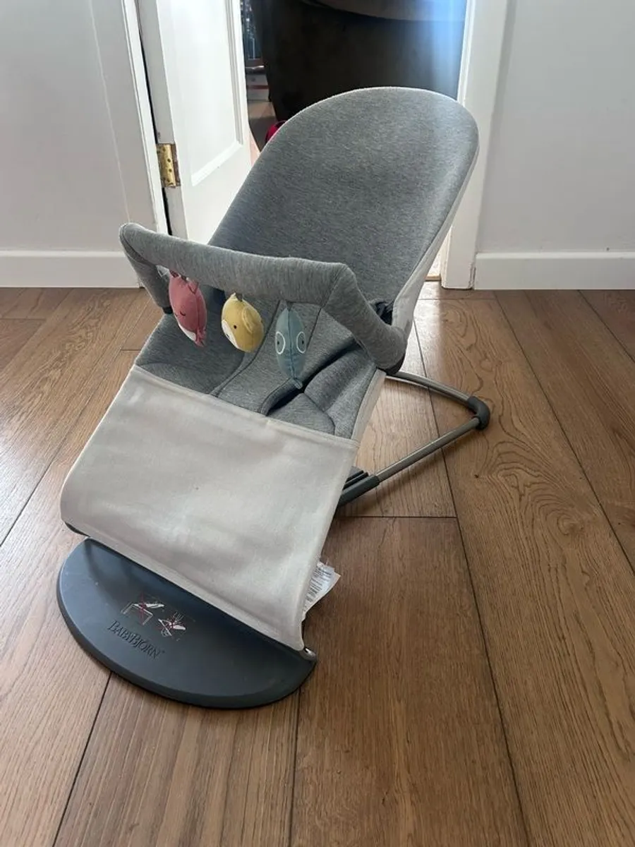 Baby Bjorn Bouncer Bliss