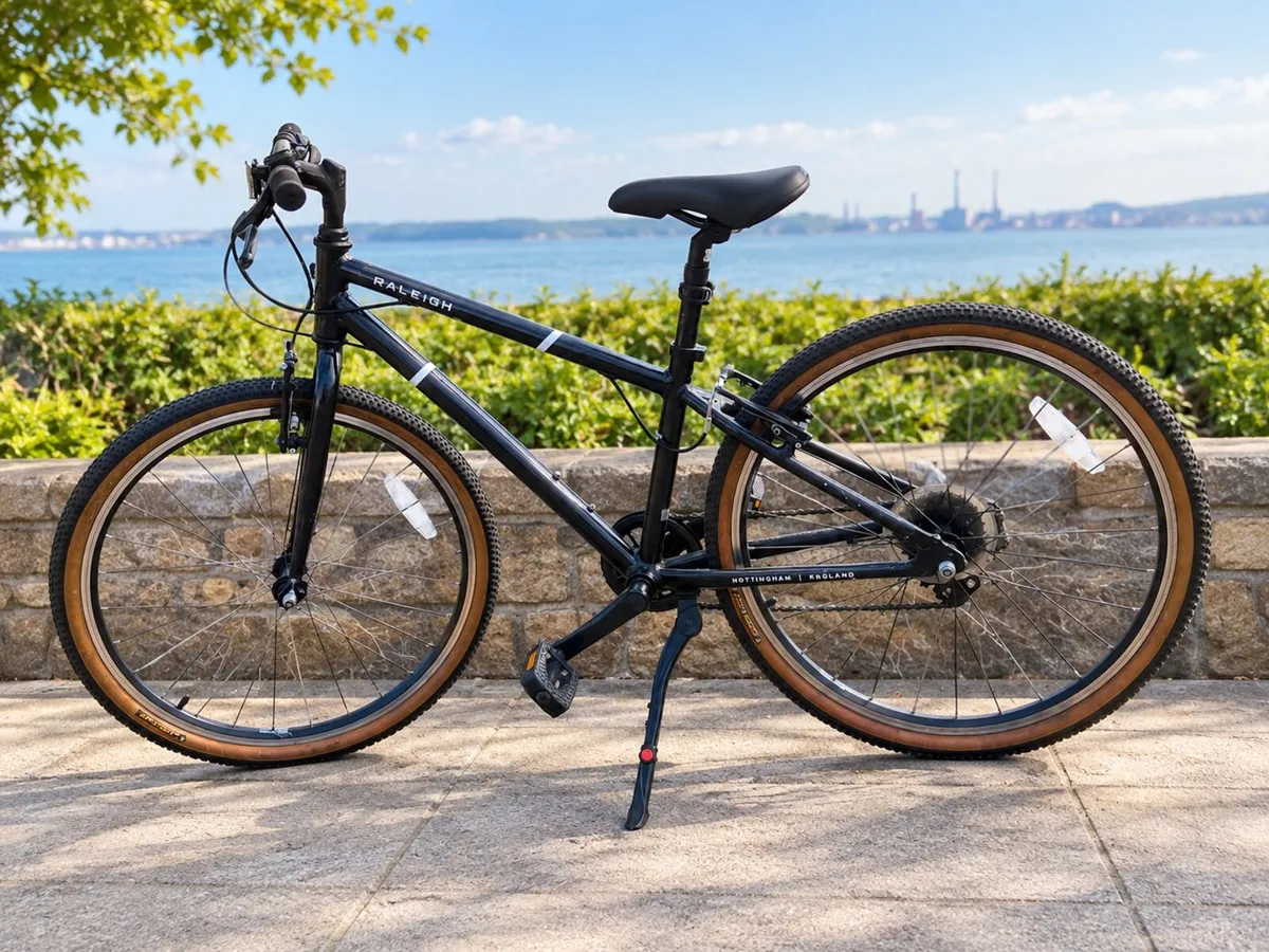 Raleigh bike - Image 2