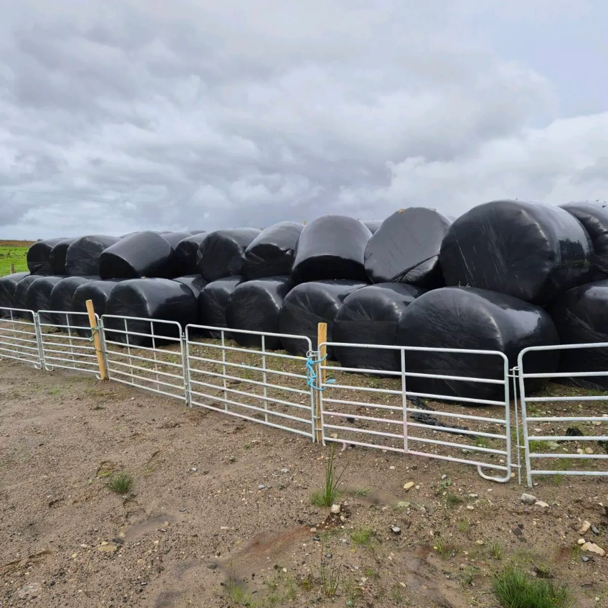 BALES