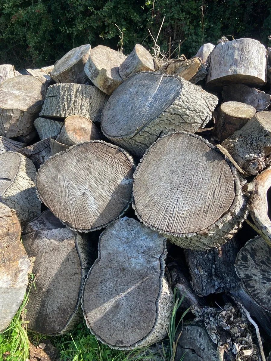 Hard wood timber blocks lengths - Image 1