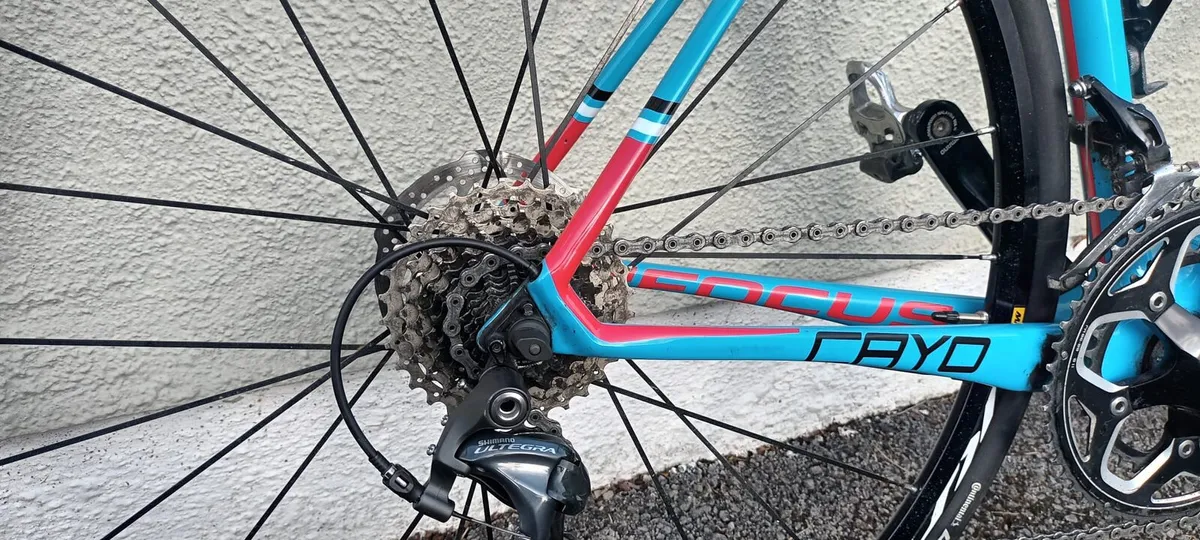 Focus Cayo Carbon Road Bike - Image 4