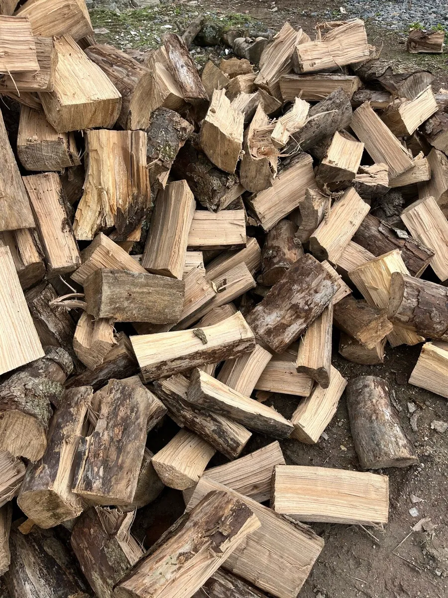 Hardwood - Image 1