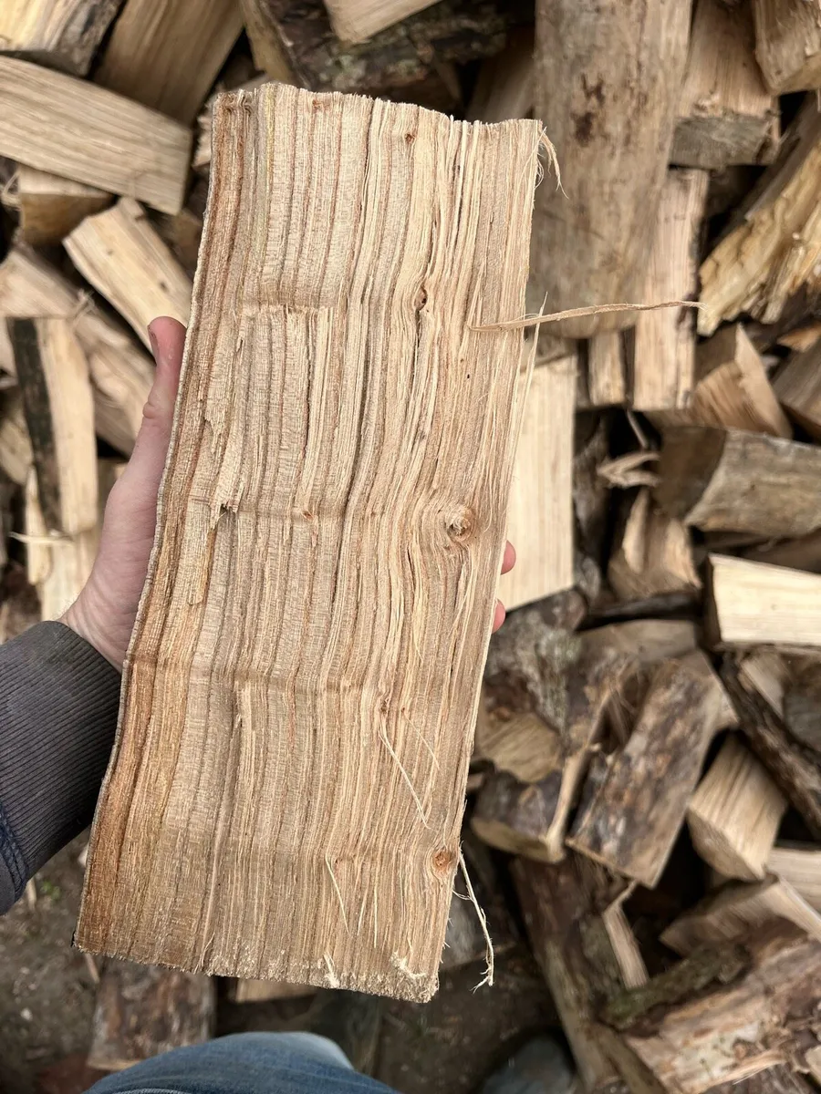 Hardwood - Image 2