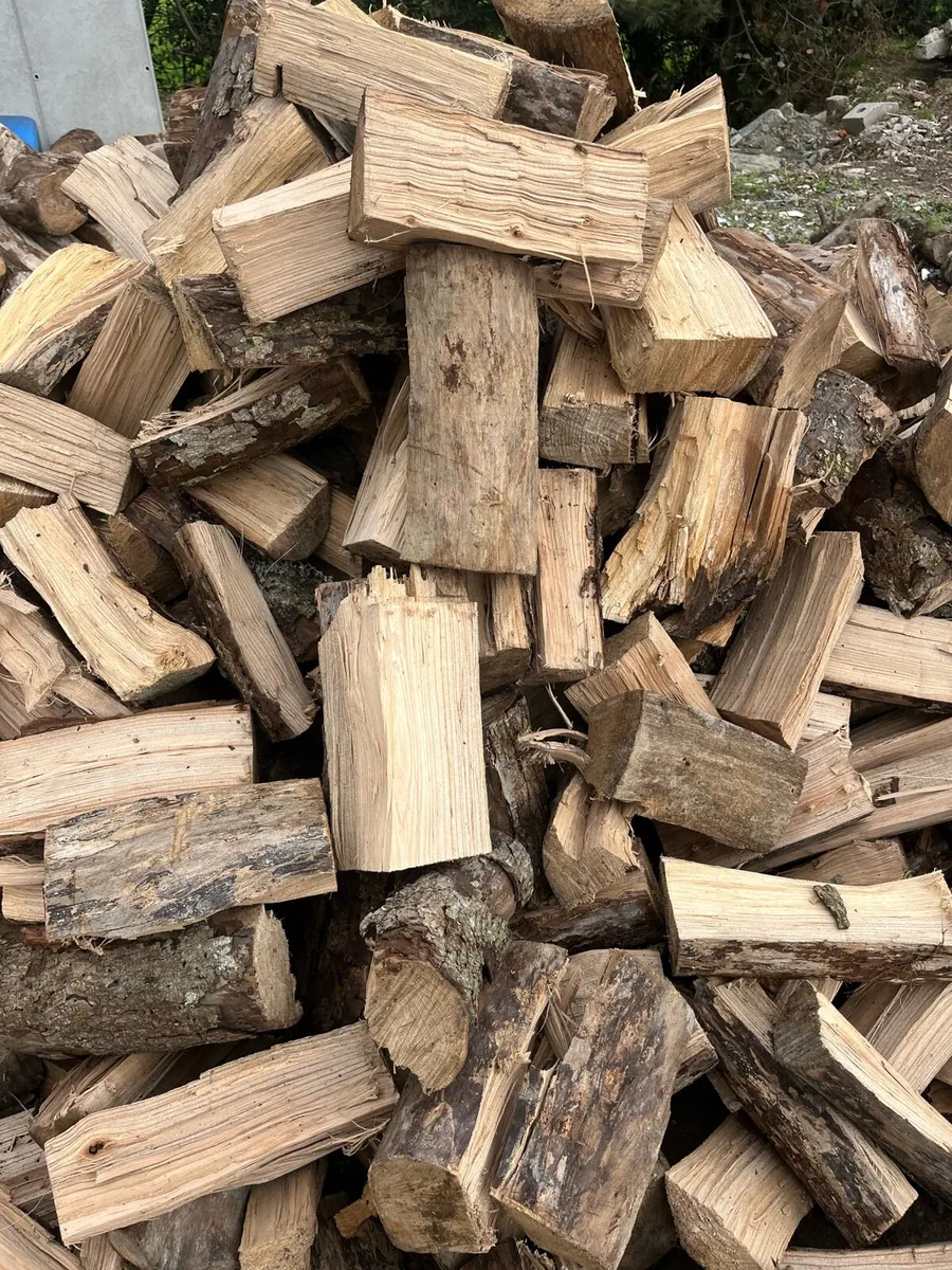 Hardwood - Image 3