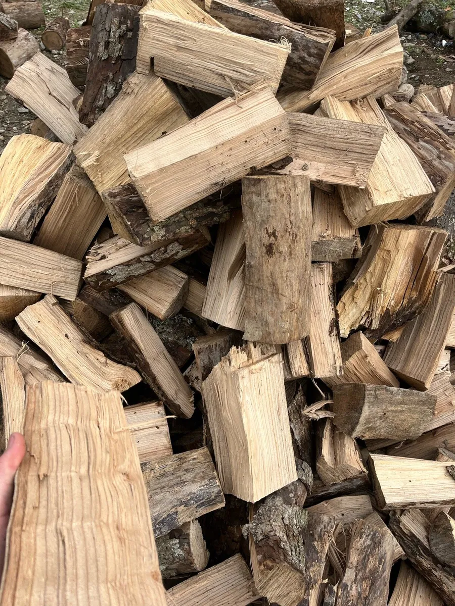 Hardwood - Image 4