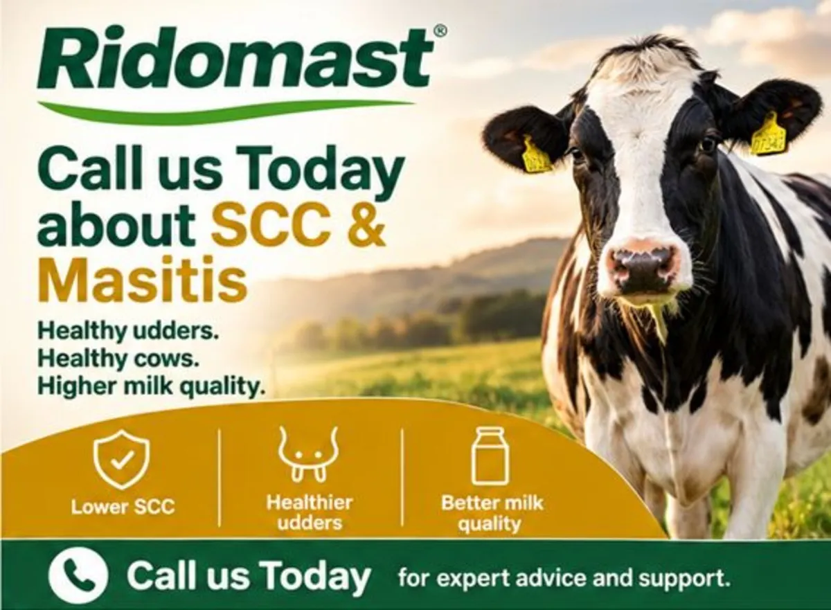 Mastitis & SCC Herd Program - Image 1