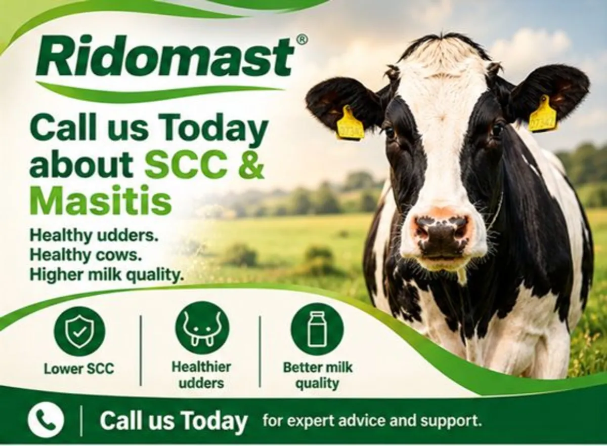 Mastitis & SCC Herd Program - Image 1