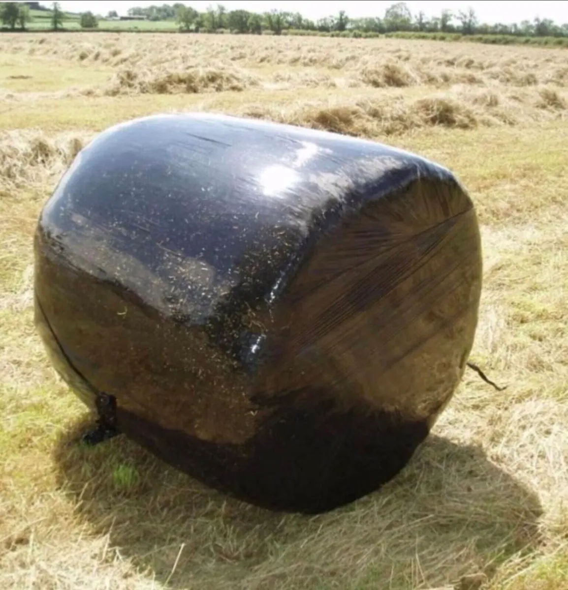 114 bales of HAYLAGE, fusion  baler!!