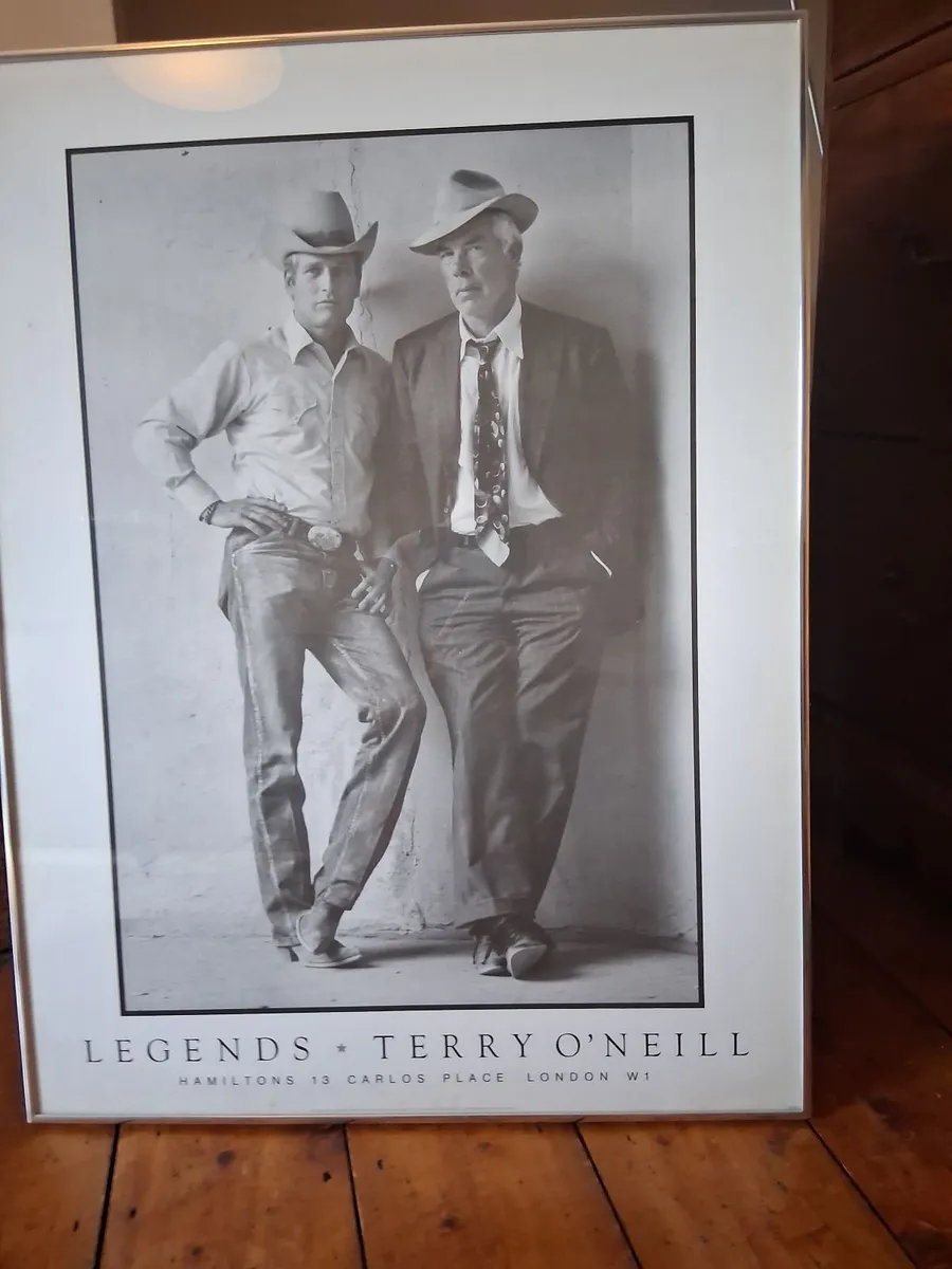 Paul Newman & Lee Marvin framed poster - Image 1