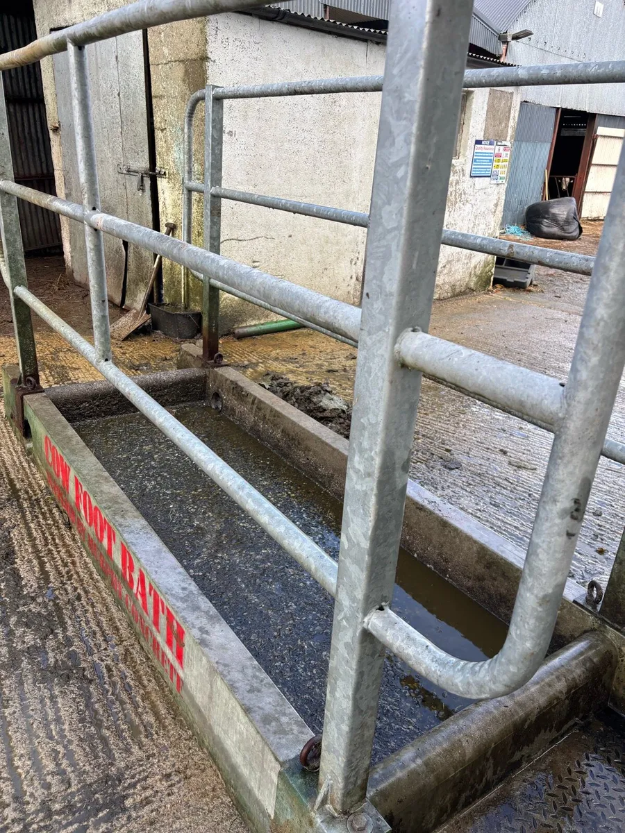 Footbath - Image 1