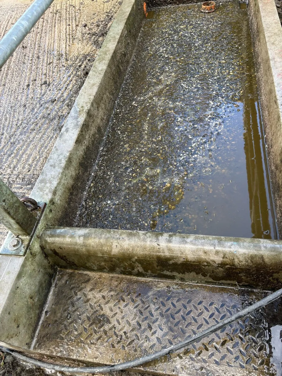 Footbath - Image 2