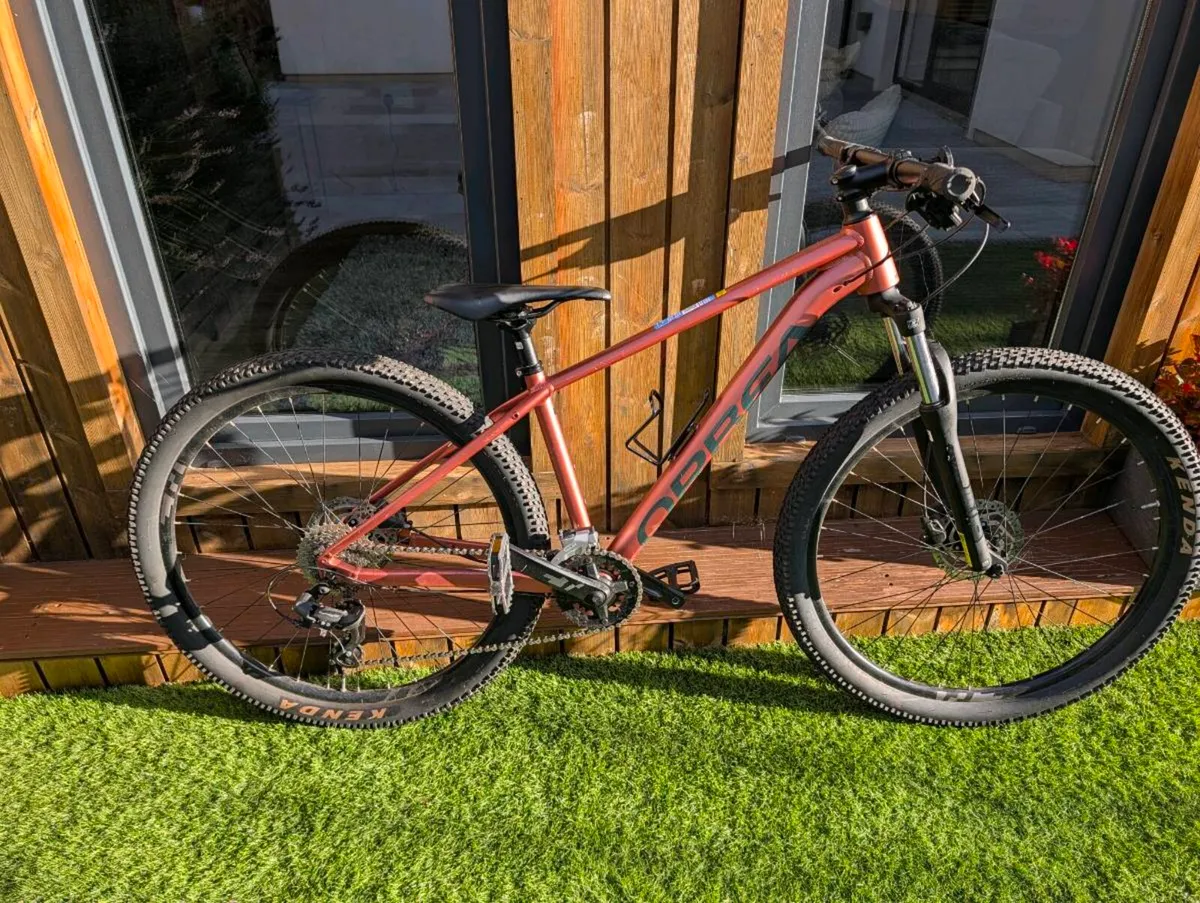 Orbea Mountain Bike - Image 2
