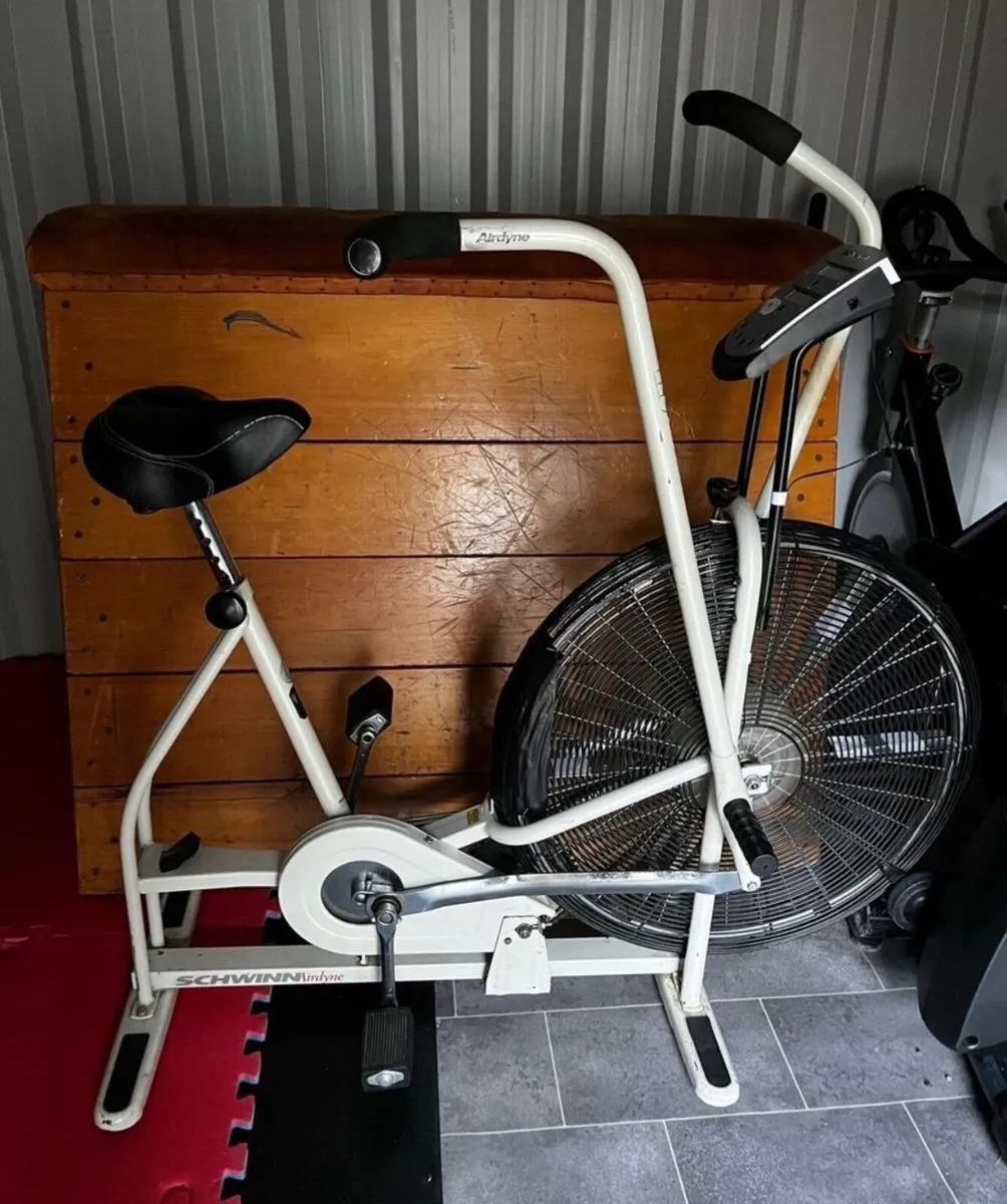 Schwinn assault exercise bike