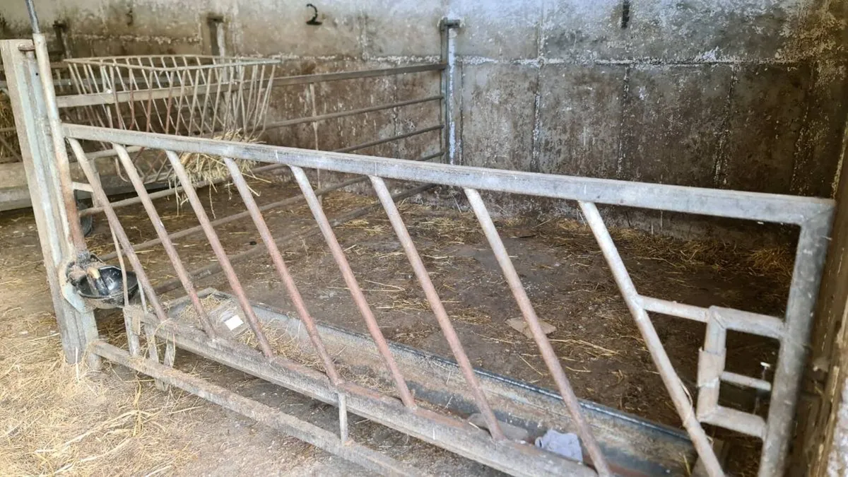 Single and multiple calf pens - Image 1