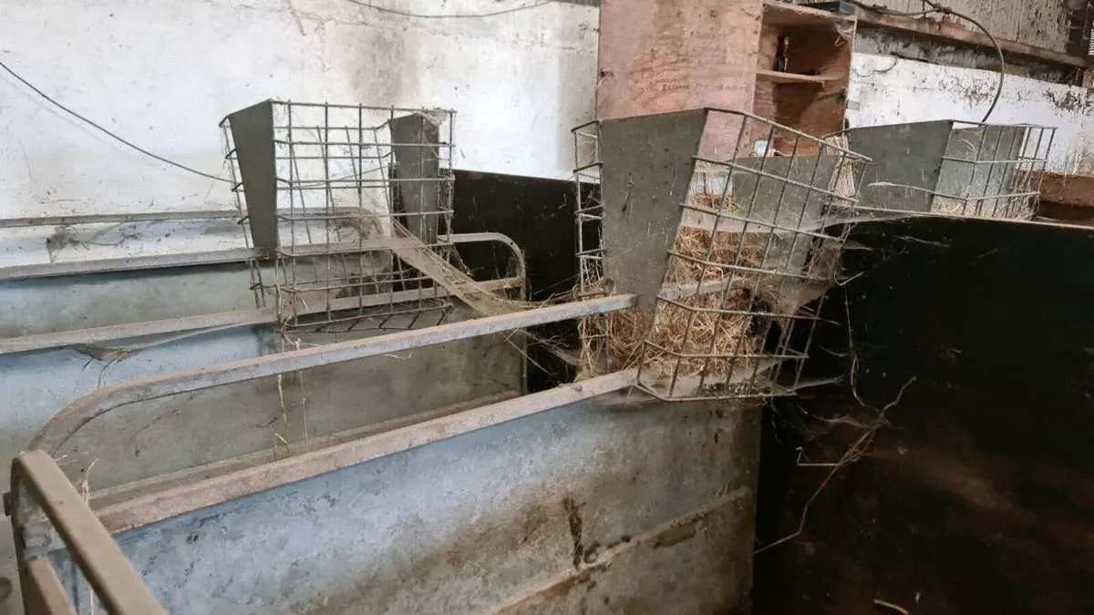 Single and multiple calf pens - Image 3