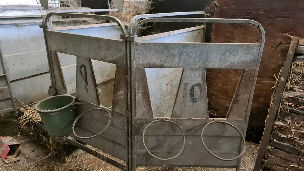 Single and multiple calf pens - Image 4