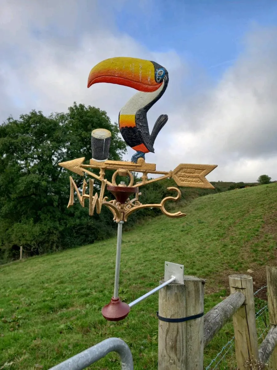 Guinness Toucan Weather Vane - Image 1