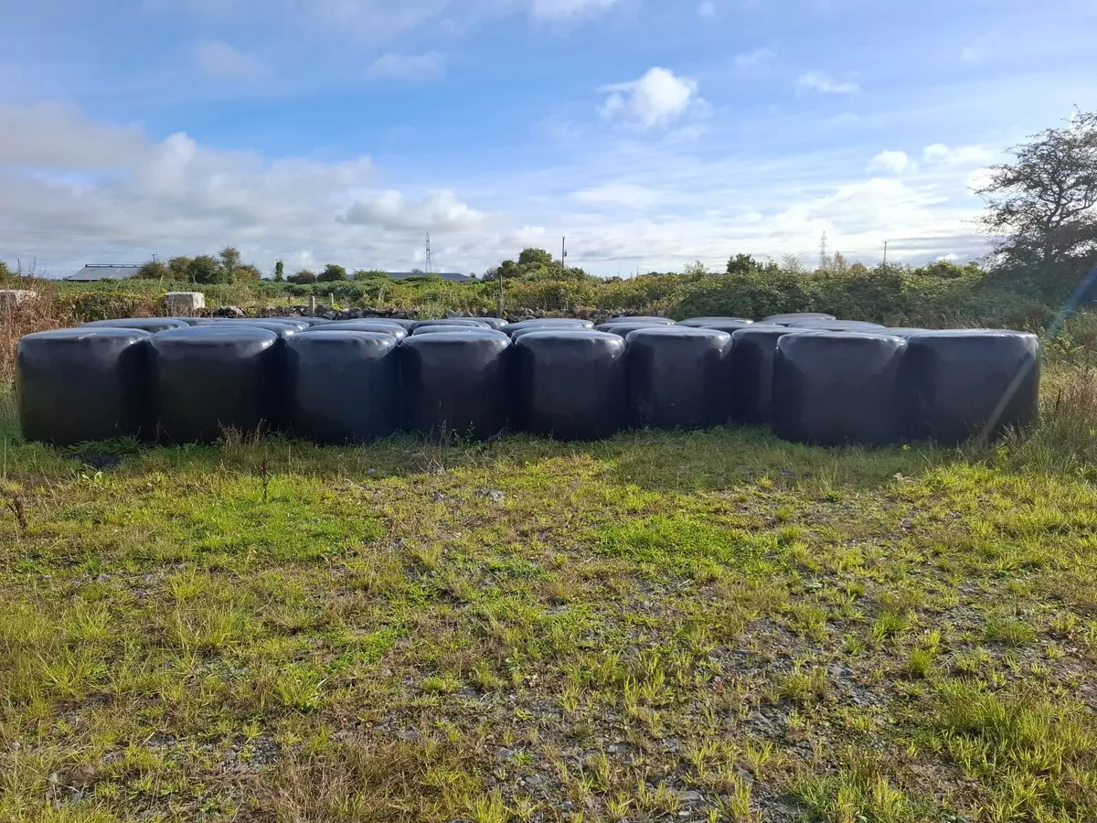 Silage