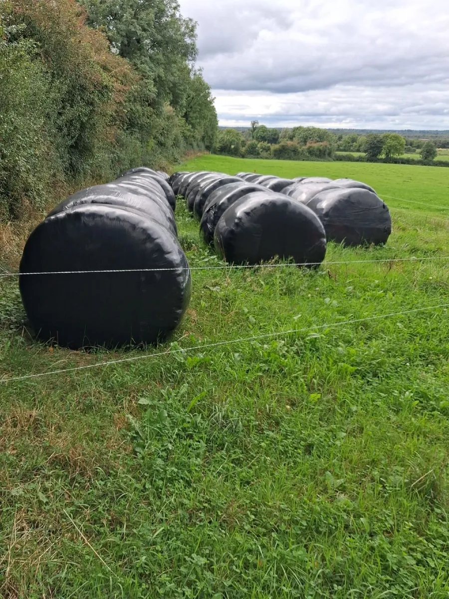 Silage Bales - Image 2
