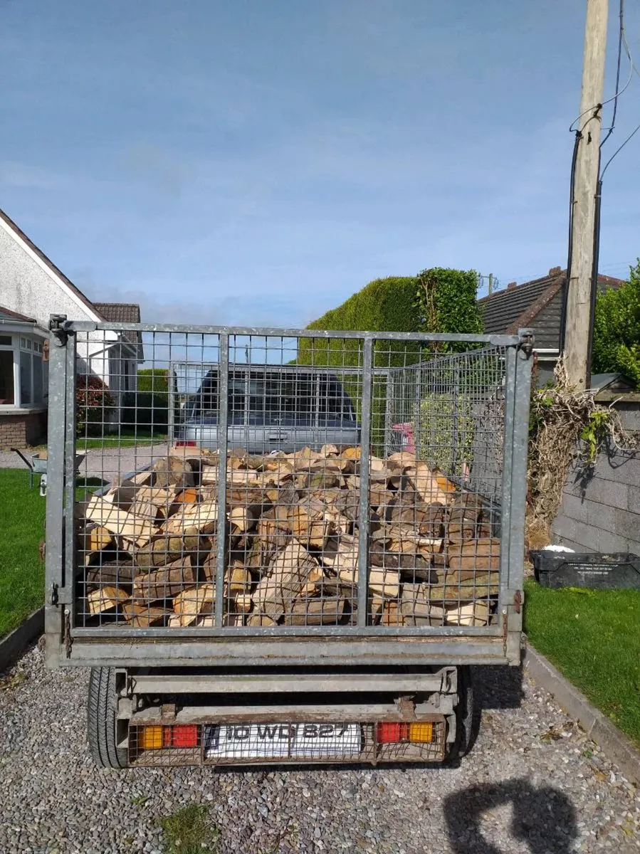 Trailer load firewood - Image 4