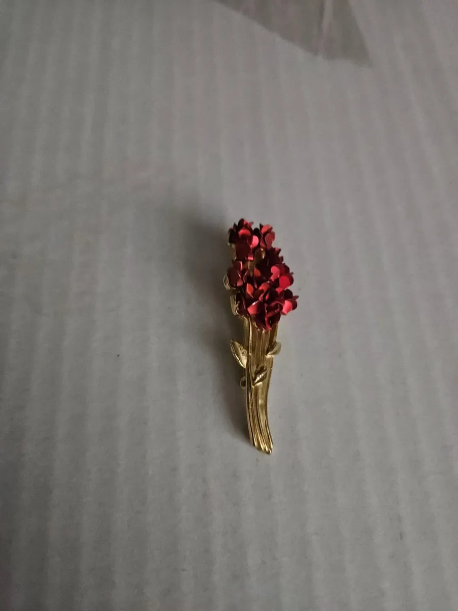 Broach Costume Jewelry - Image 1
