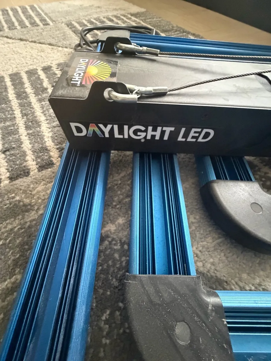 Daylight lump - Image 2