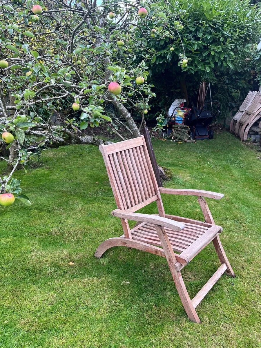 Garden furniture - Image 1