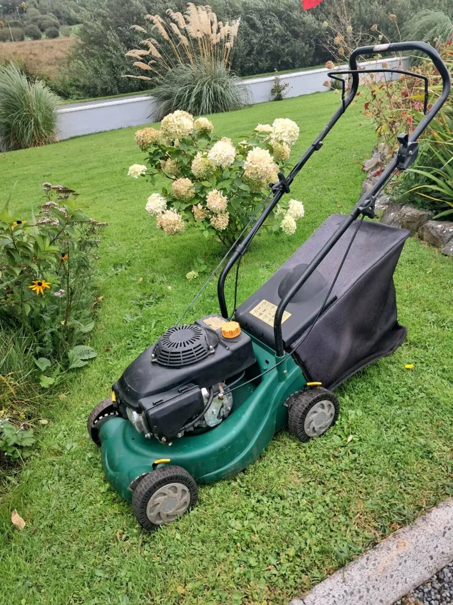 Lawnmower - Image 1