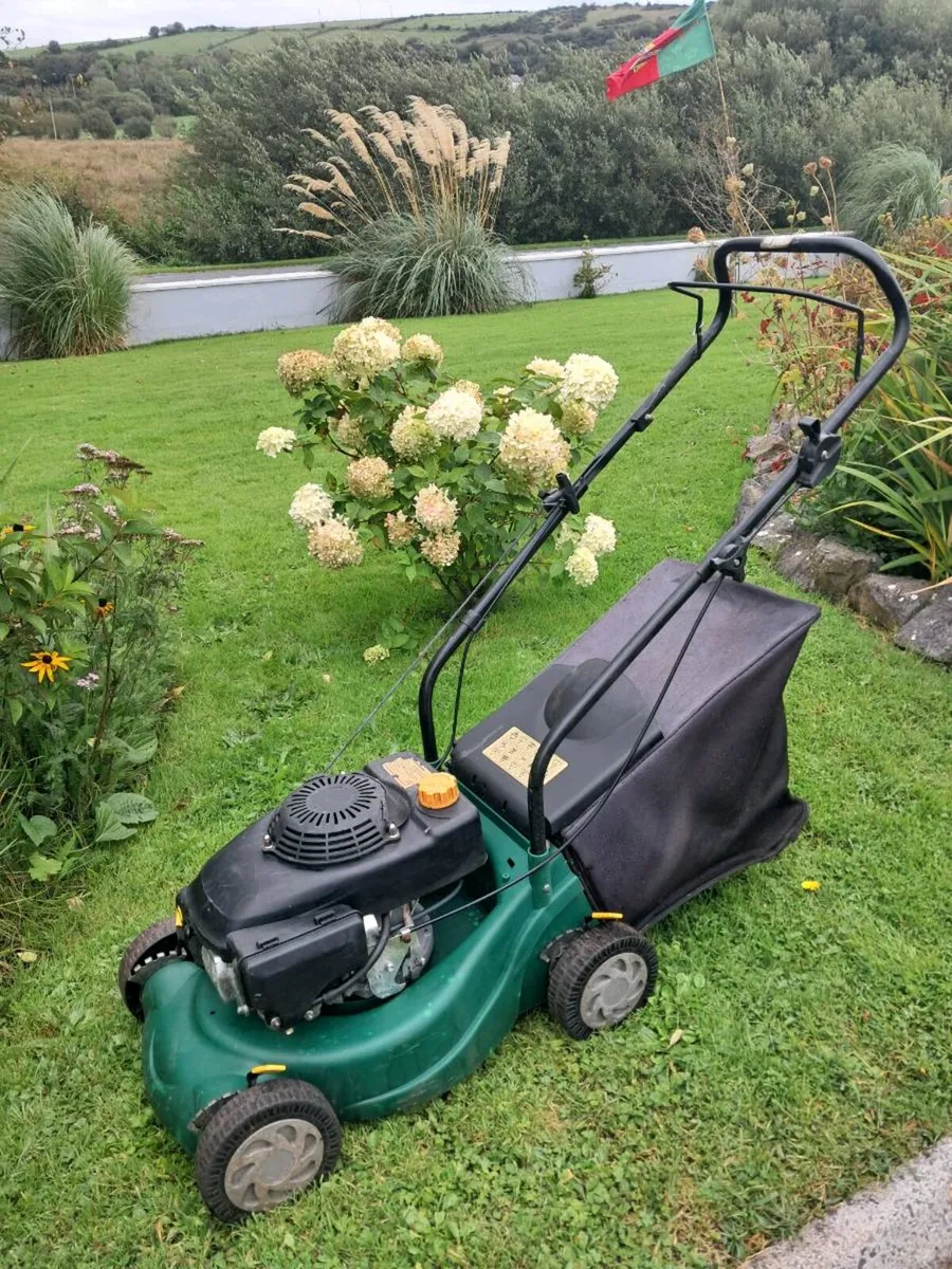 Lawnmower - Image 2