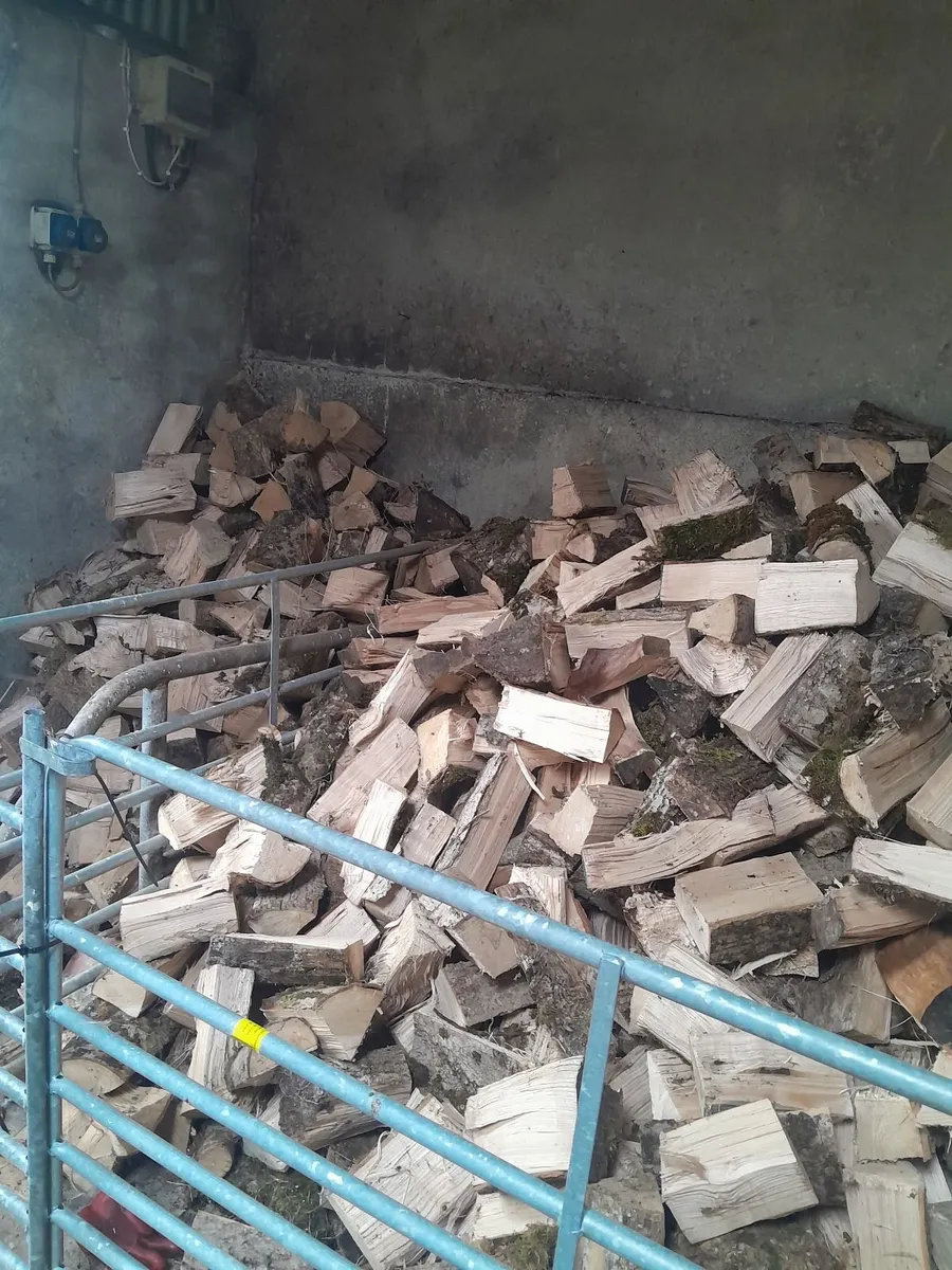 Firewood - Image 1