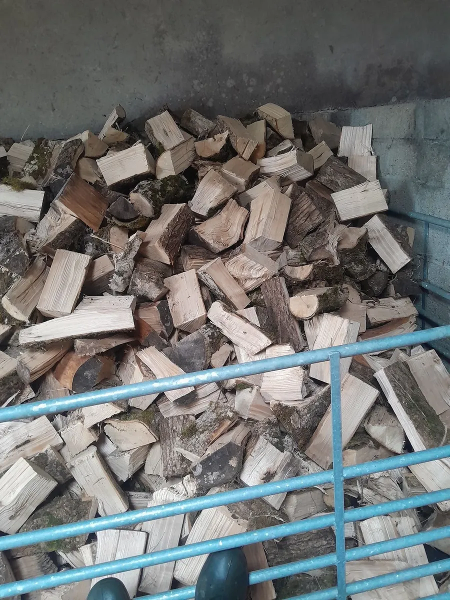 Firewood - Image 3