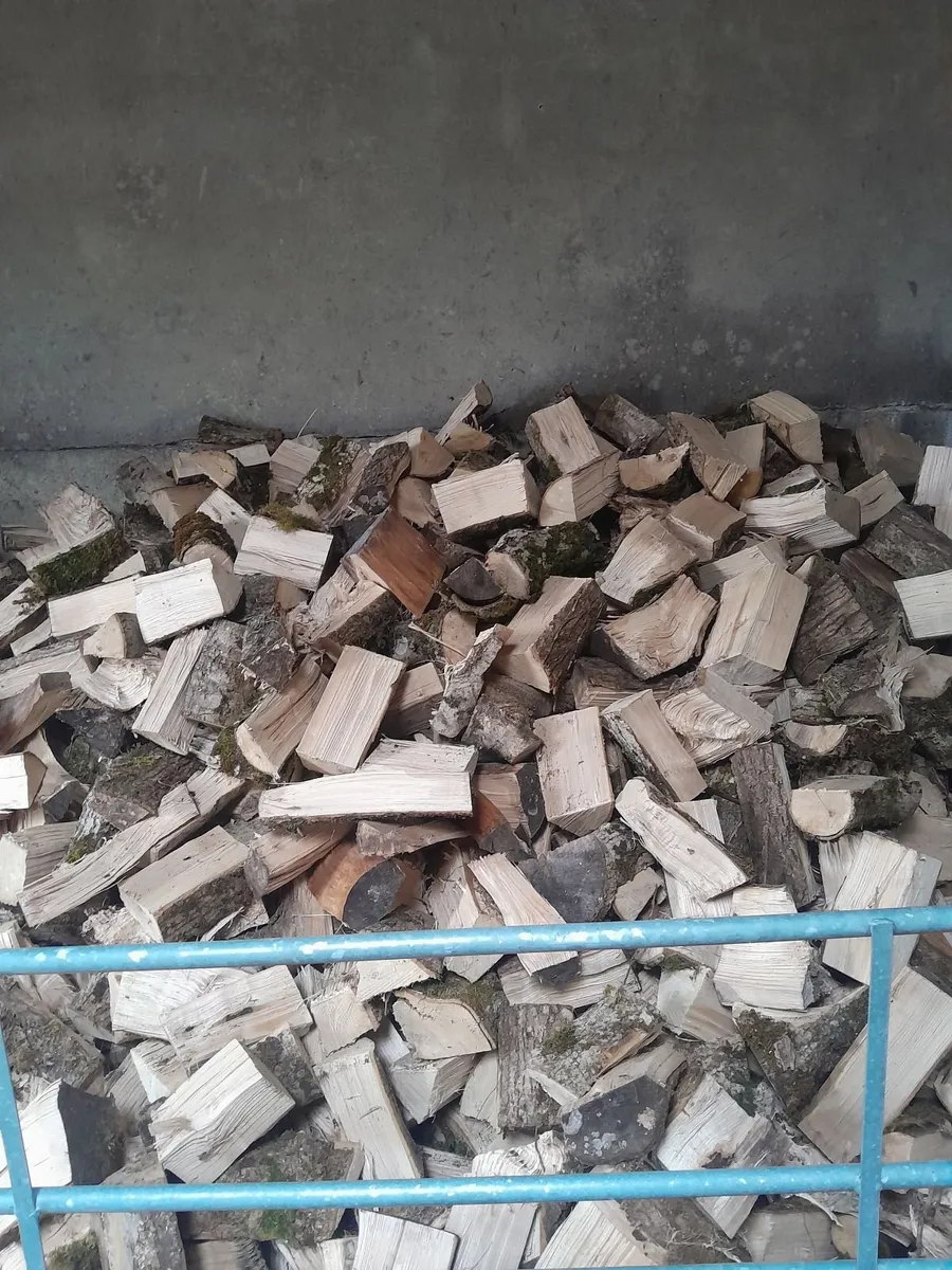 Firewood - Image 2