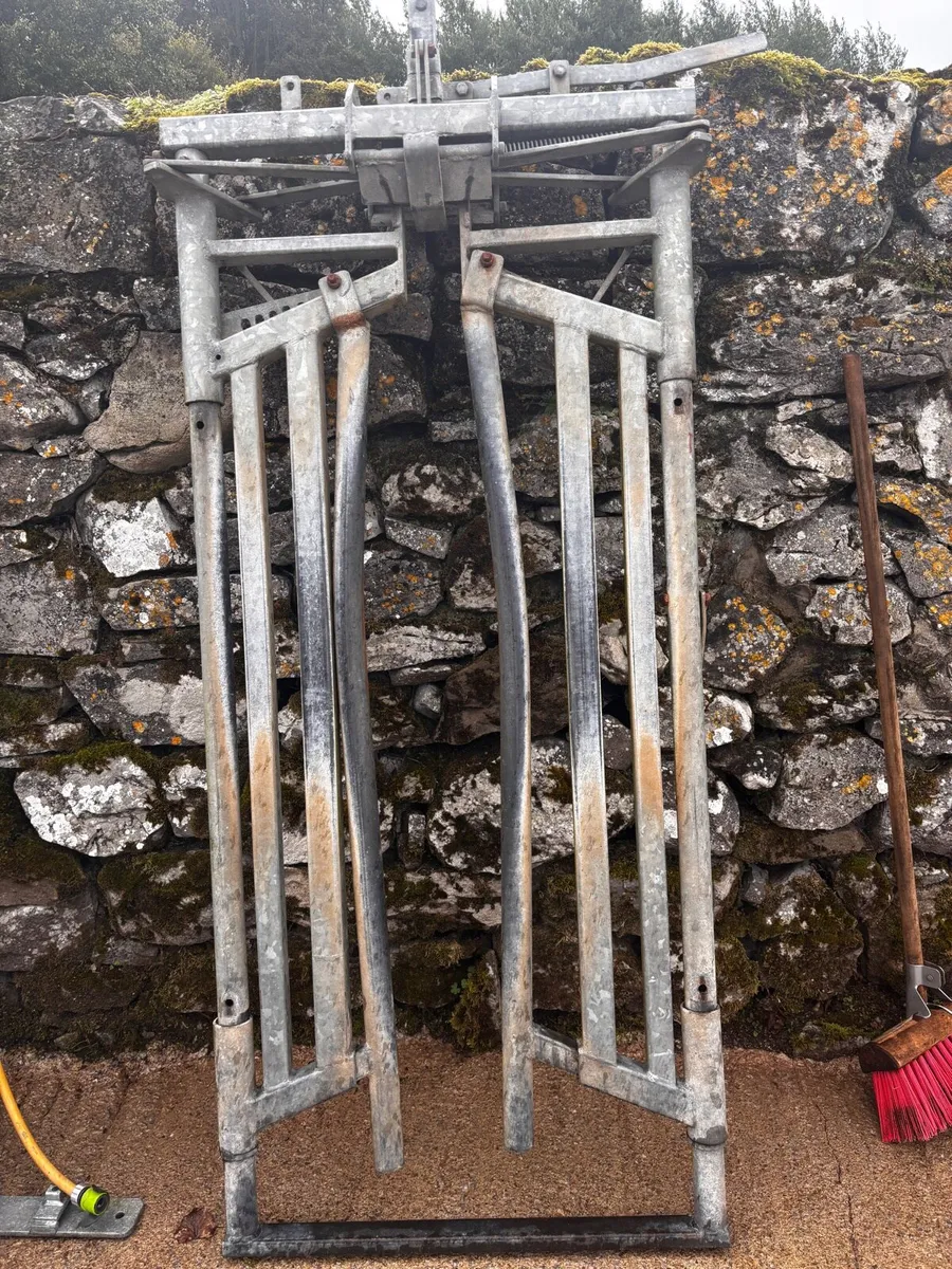 Cattle Crush Gate Automatic - Image 1
