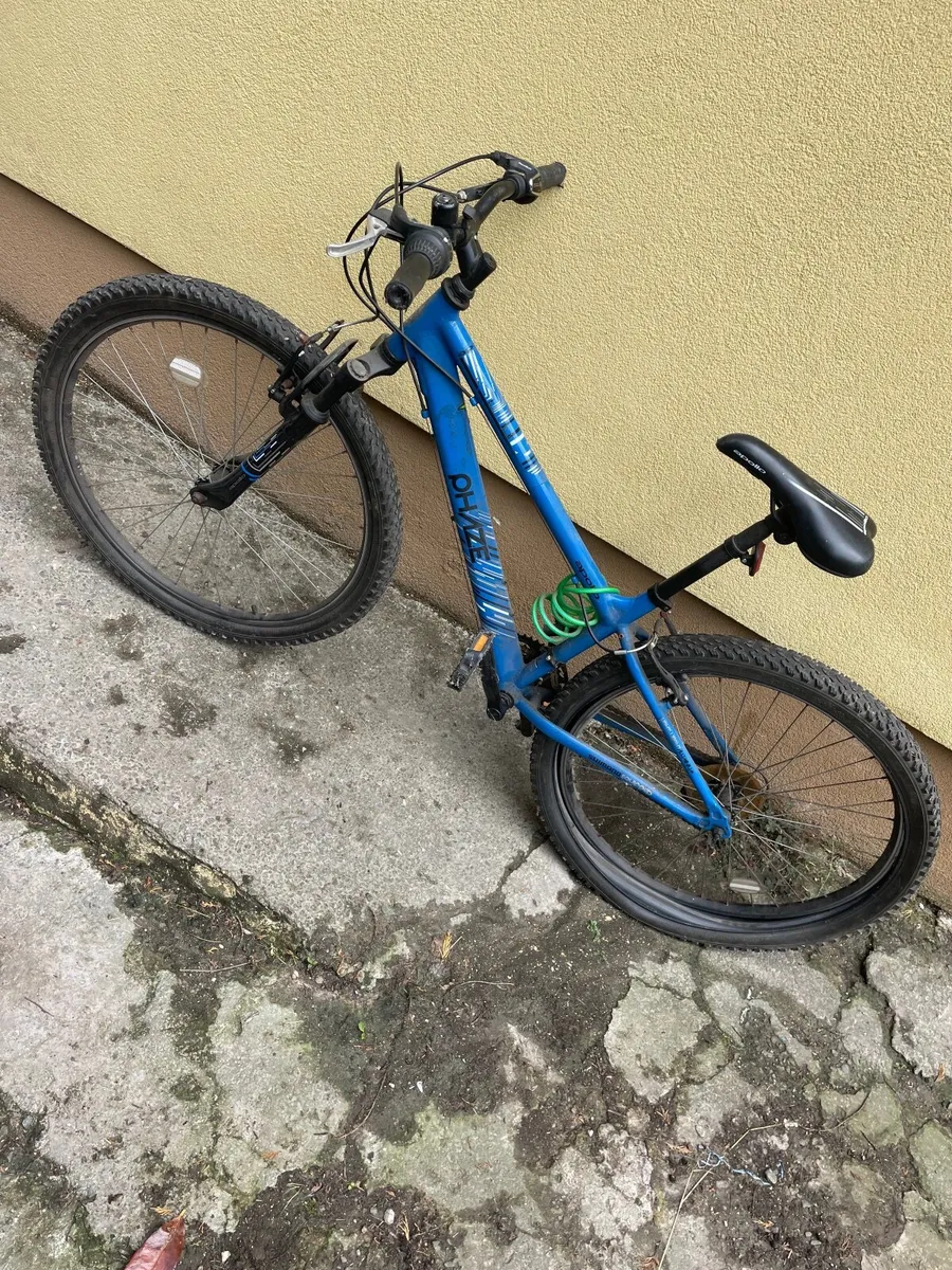 Boys Bike or adult bike. - Image 1