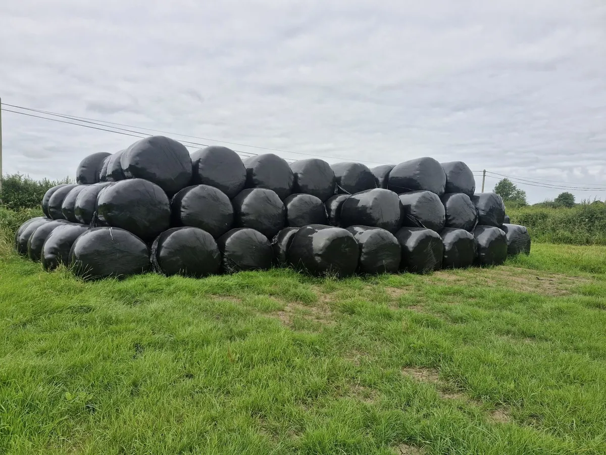 haylage - Image 1