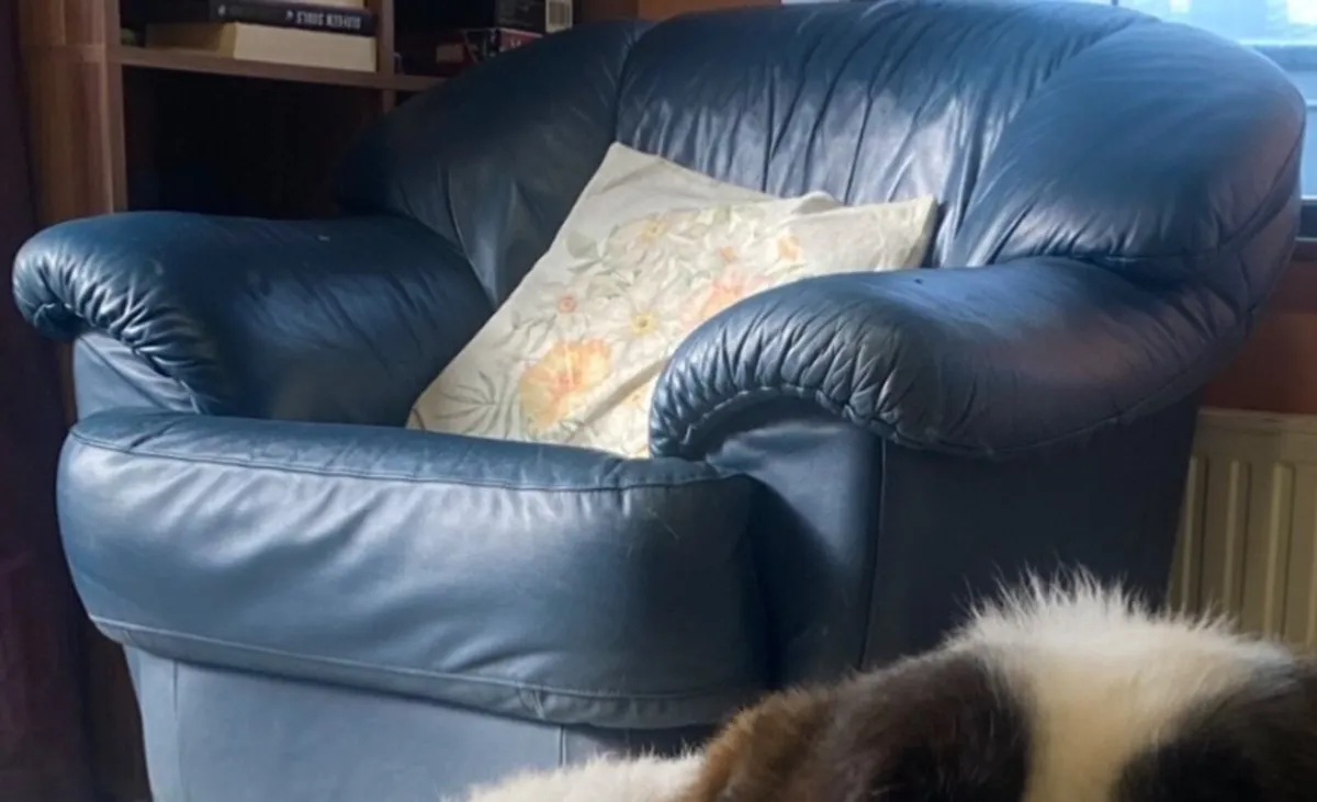Leather couch + armchairs - Image 1