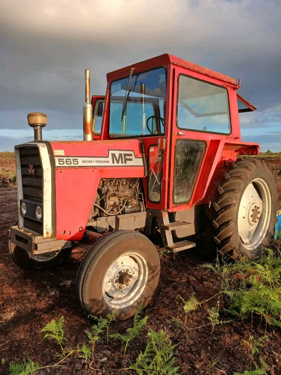 Massey 565 - Image 2