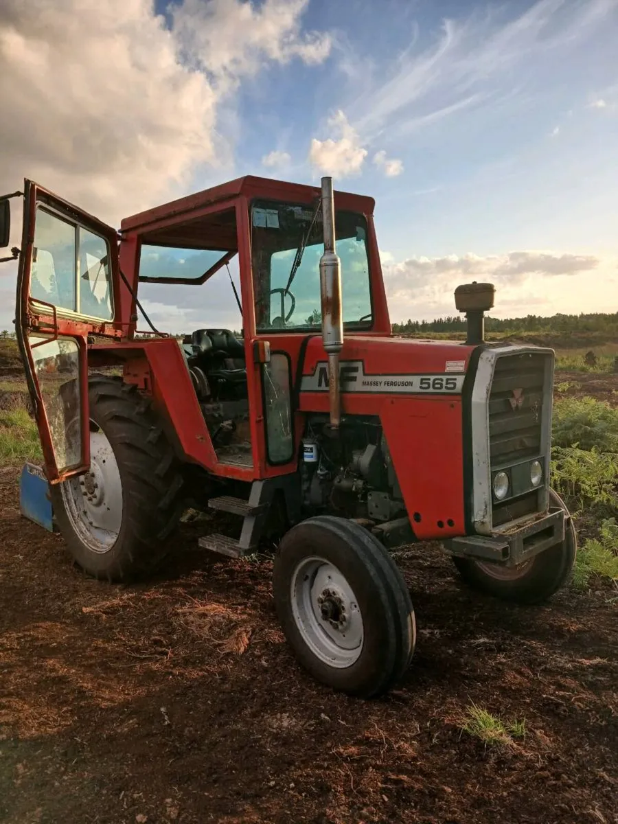 Massey 565 - Image 4