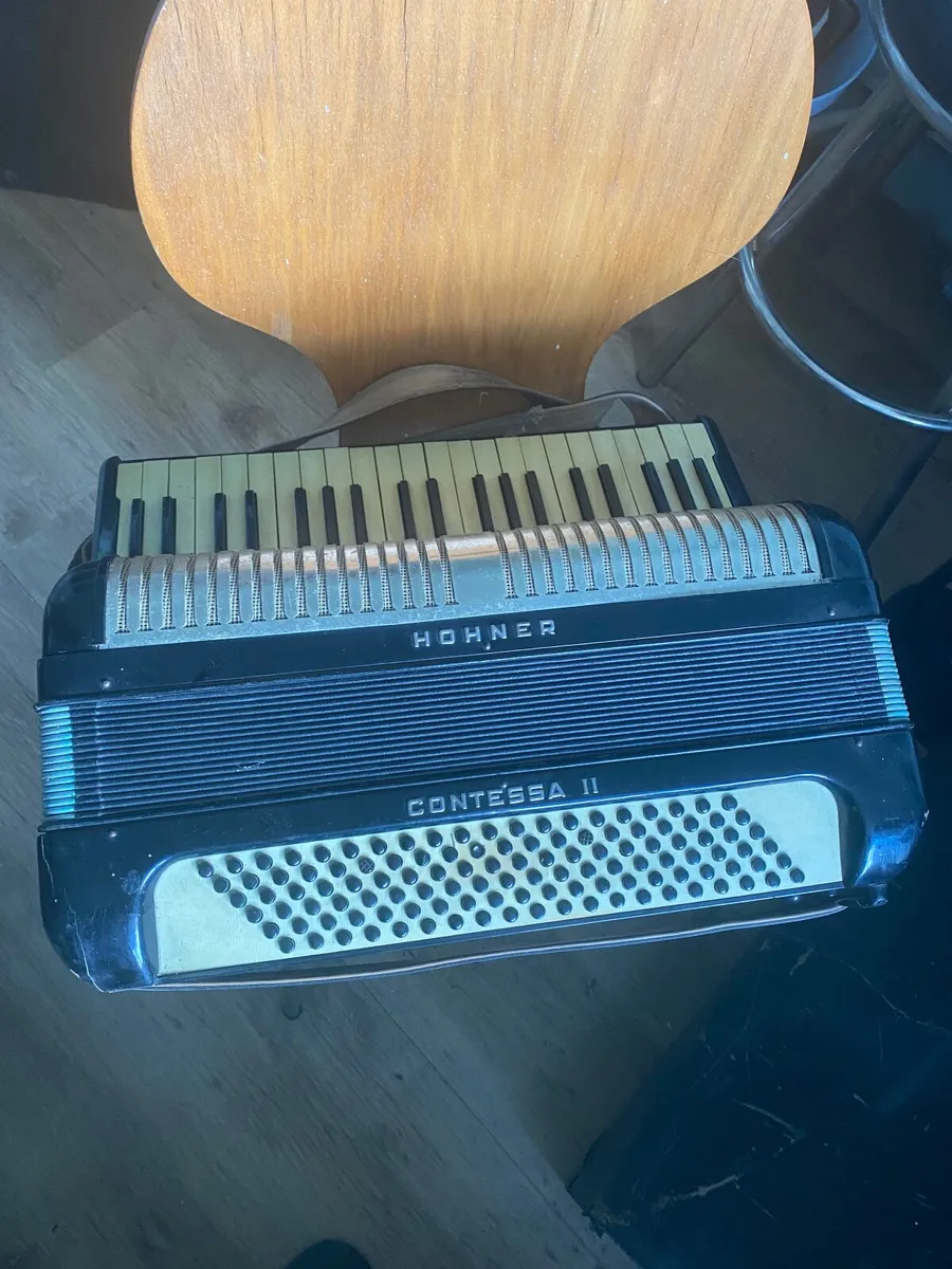 Vintage accordion - Image 3