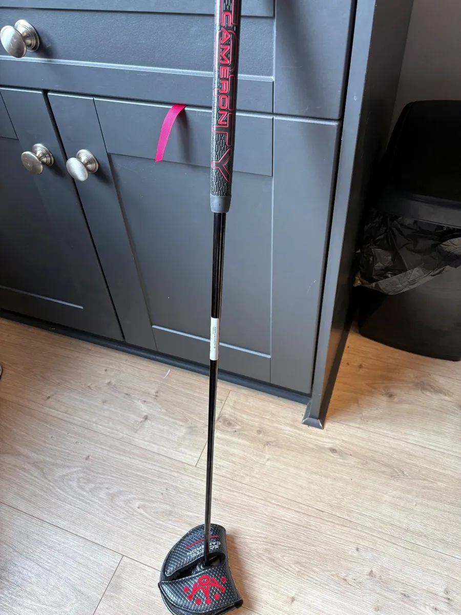 Golf Putter - Image 1