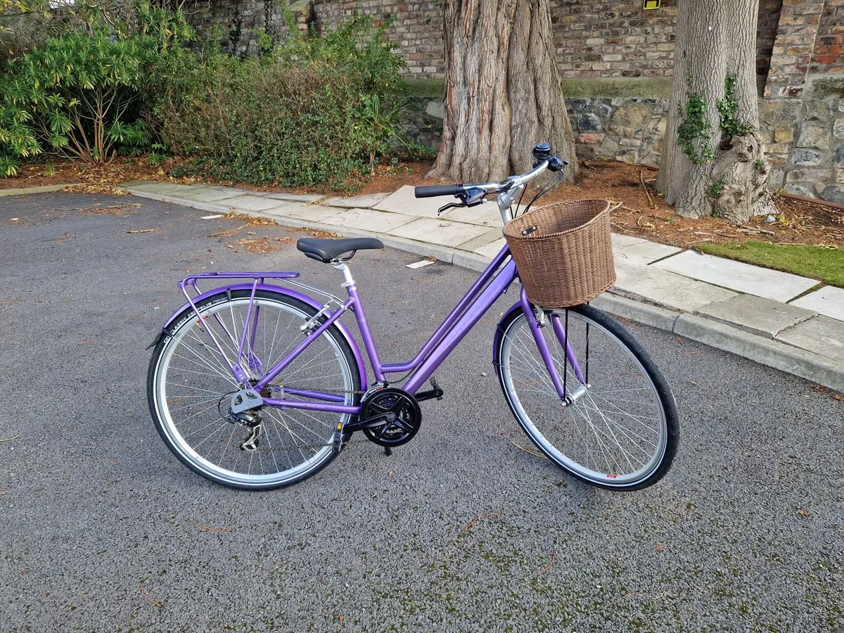 Raleigh Pioneer Bicycle - Image 3