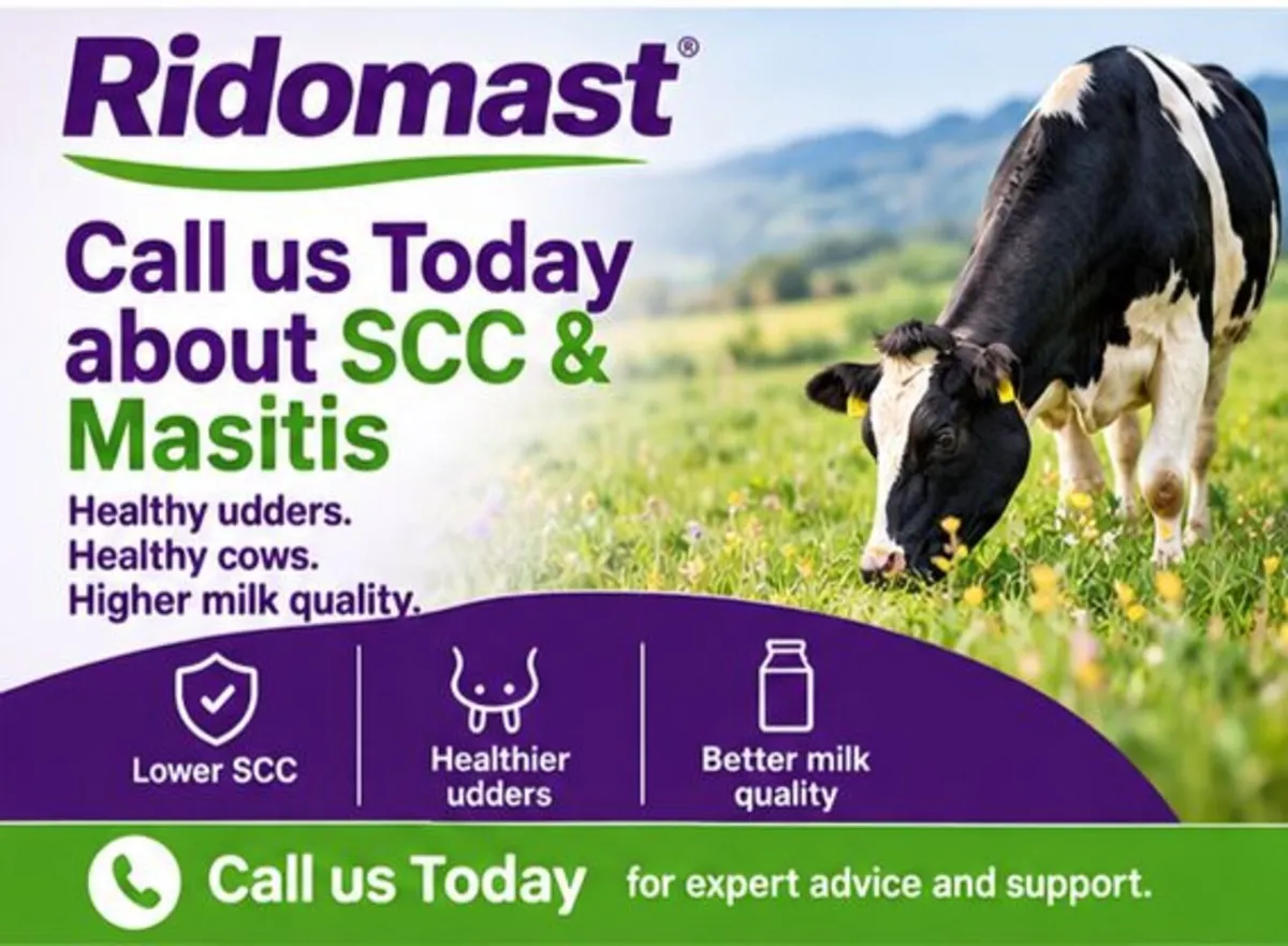 Herd SCC & Mastitis Program - Image 1