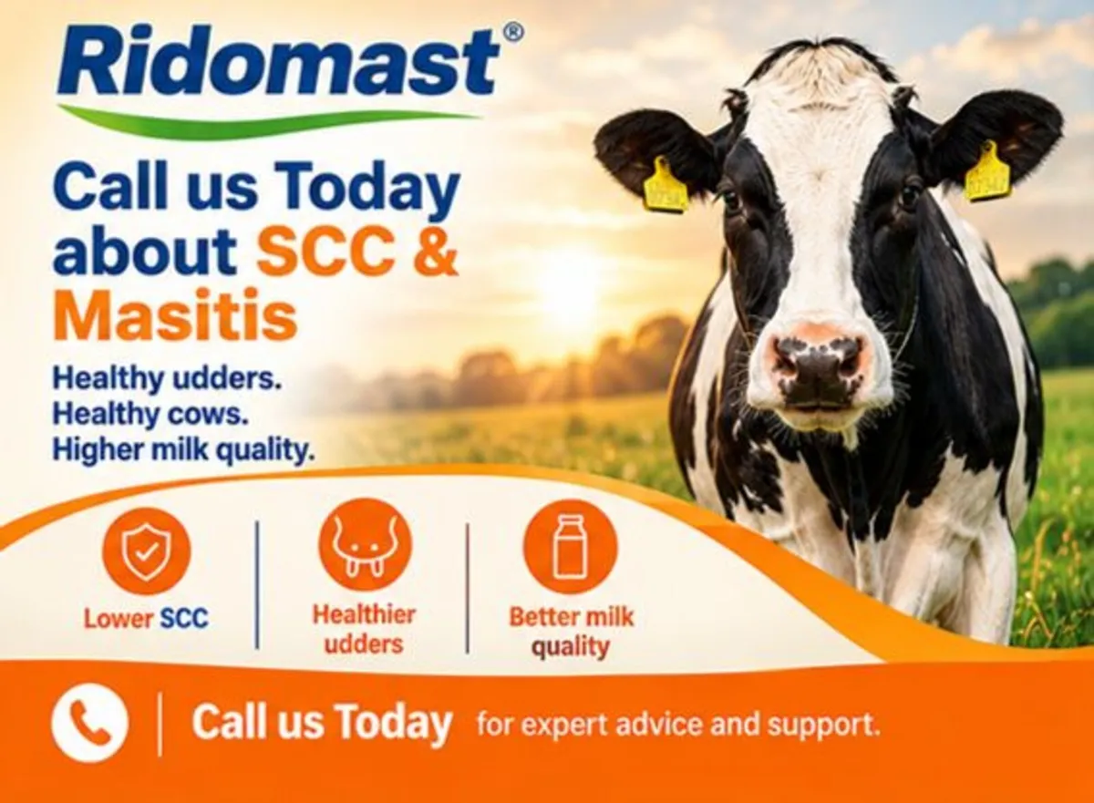 Mastitis & SCC Herd Program - Image 1