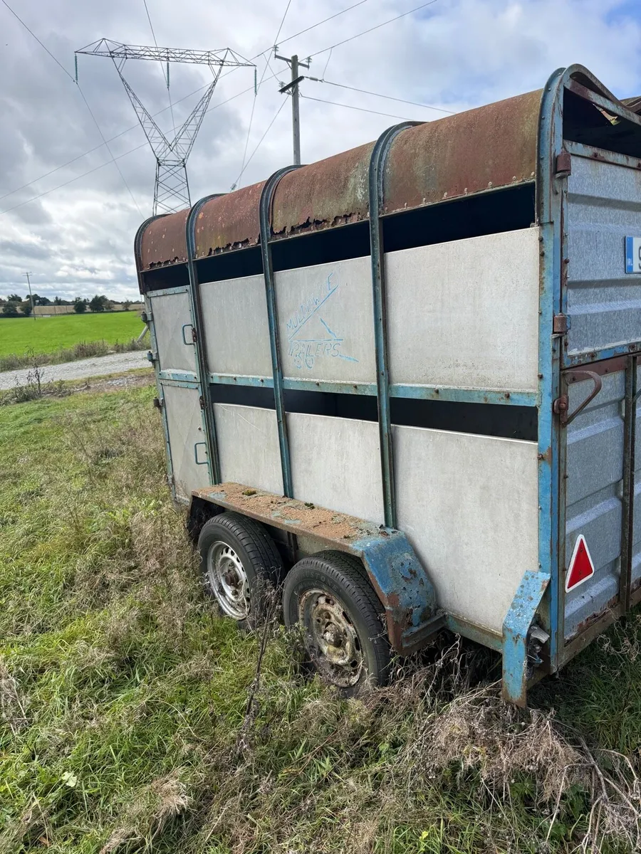 Trailer - Image 1