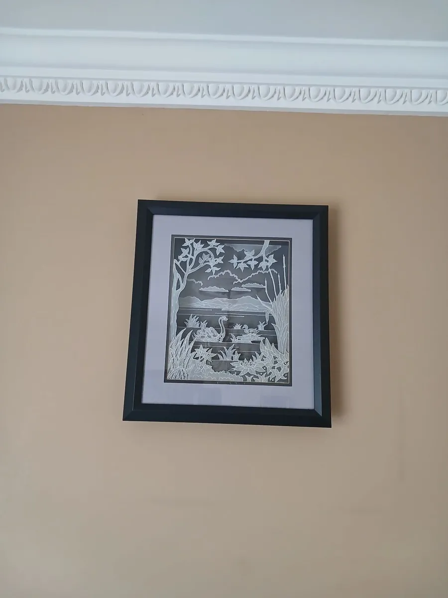 Three D Carrickmacross Lace