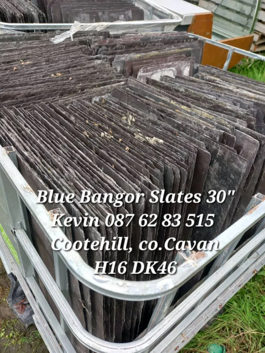 30"Blue Bangor Slates - Image 1