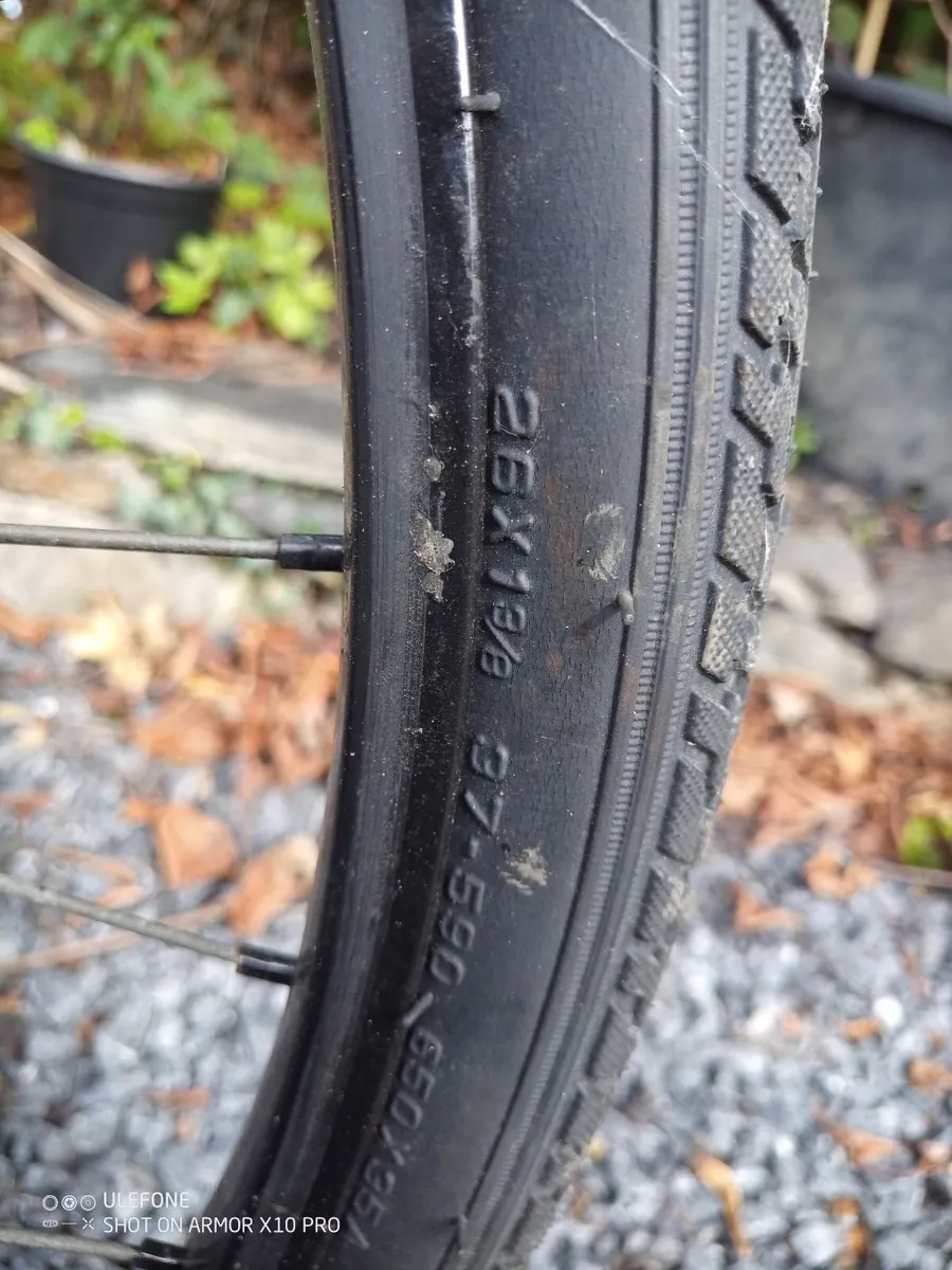 Vintage triumph raçing bicycle - Image 3